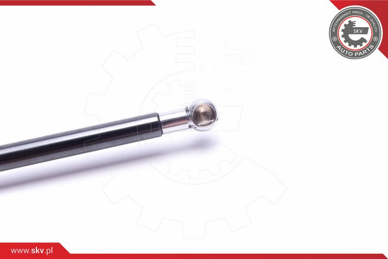 ESEN SKV Gasfeder, Koffer-/Laderaum