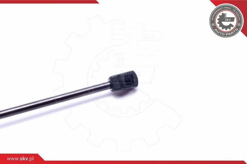 ESEN SKV Gasfeder, Koffer-/Laderaum