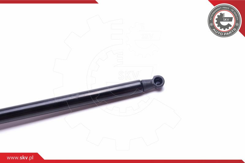 ESEN SKV Gasfeder, Koffer-/Laderaum