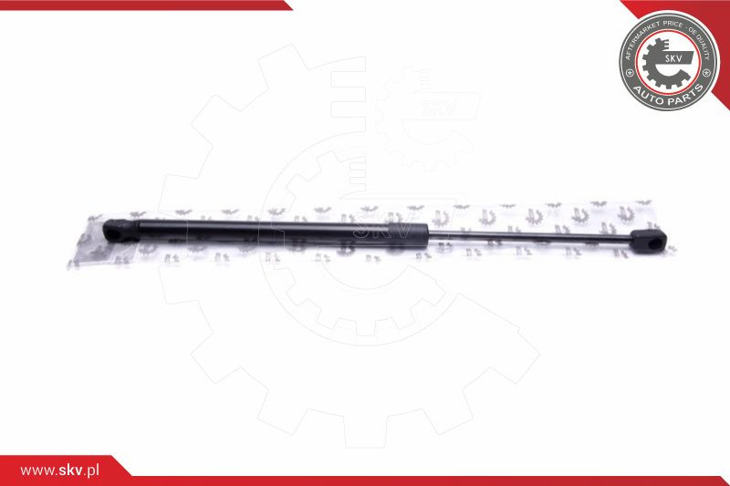 ESEN SKV Gasfeder, Koffer-/Laderaum