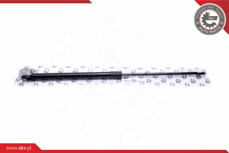 ESEN SKV Gasfeder, Koffer-/Laderaum