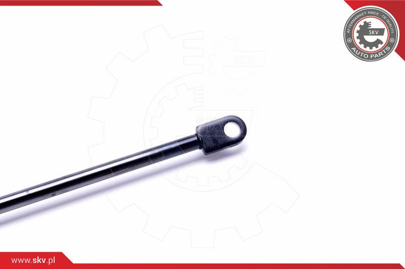 ESEN SKV Gasfeder, Koffer-/Laderaum