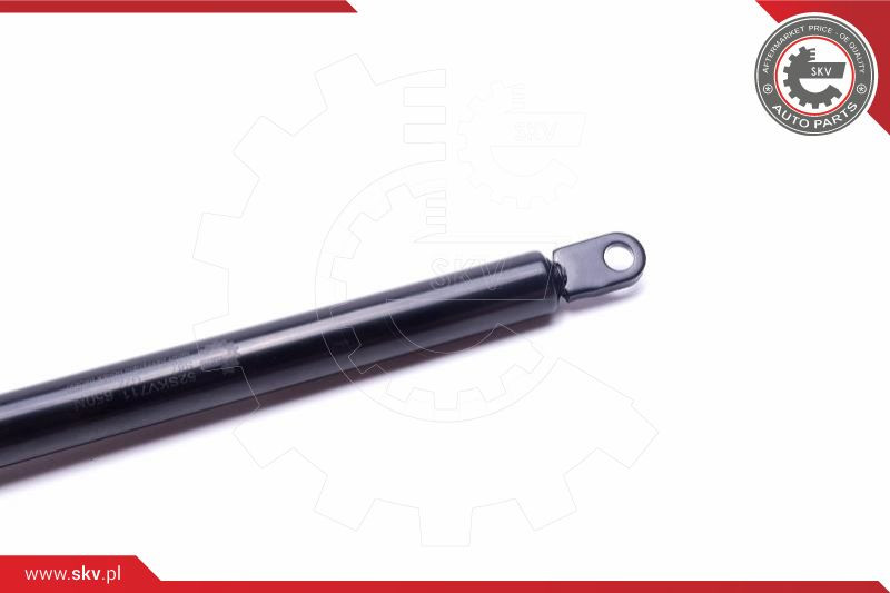 ESEN SKV Gasfeder, Koffer-/Laderaum