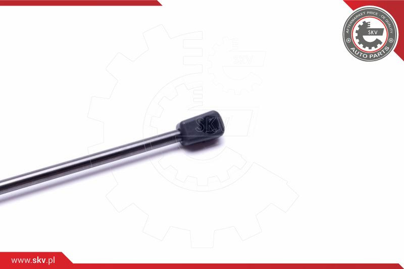 ESEN SKV Gasfeder, Koffer-/Laderaum