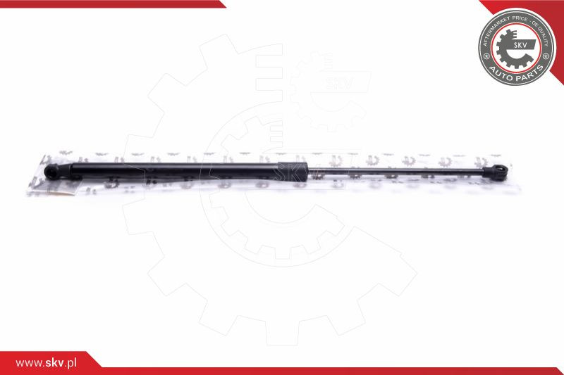 ESEN SKV Gasfeder, Koffer-/Laderaum