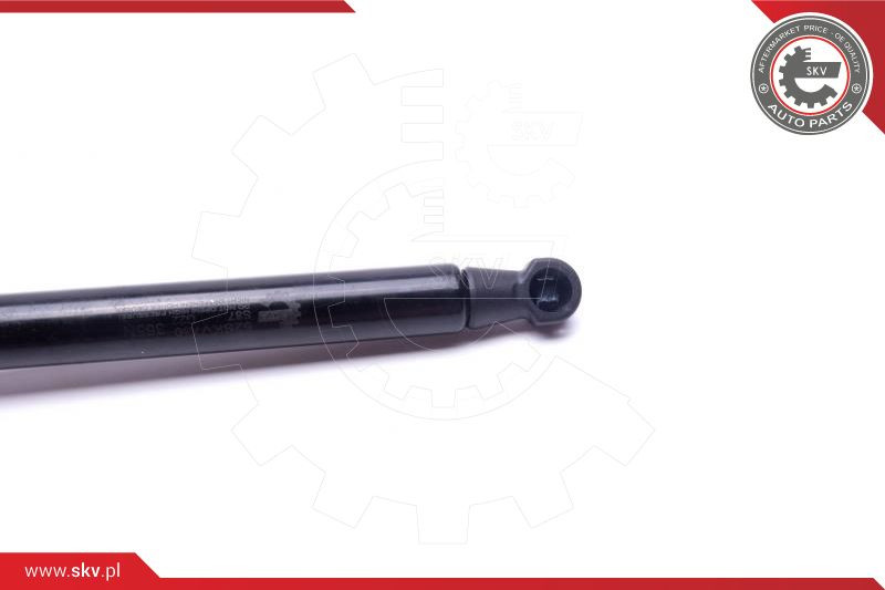 ESEN SKV Gasfeder, Koffer-/Laderaum