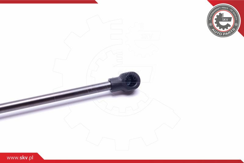 ESEN SKV Gasfeder, Koffer-/Laderaum