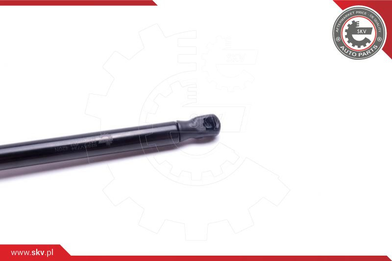 ESEN SKV Gasfeder, Koffer-/Laderaum