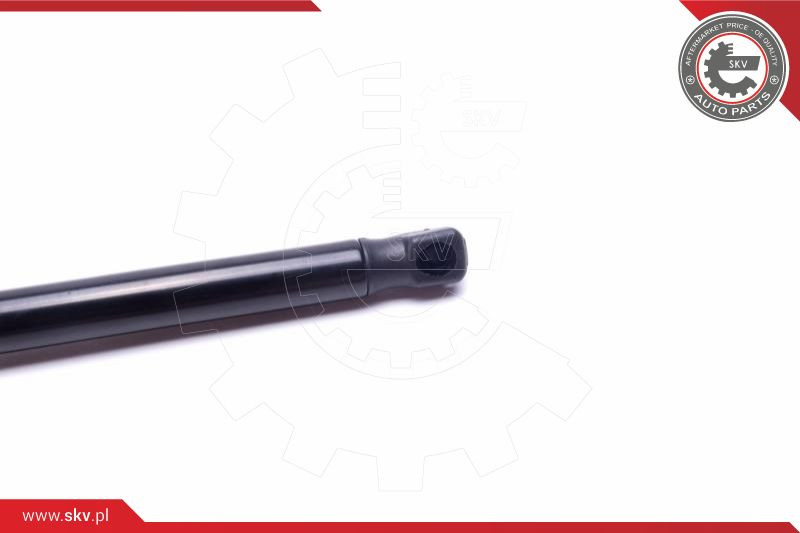 ESEN SKV Gasfeder, Koffer-/Laderaum