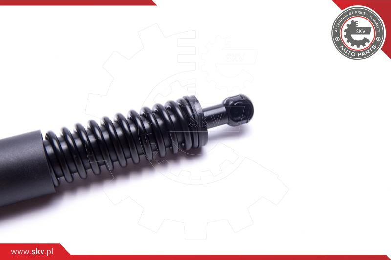 ESEN SKV Gasfeder, Koffer-/Laderaum