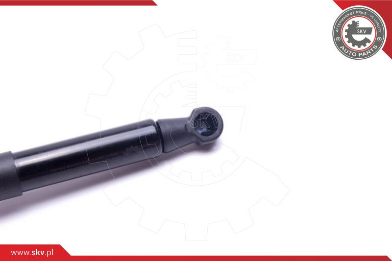 ESEN SKV Gasfeder, Fußfeststellbremse