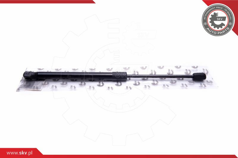 ESEN SKV Gasfeder, Heckscheibe