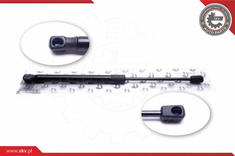 ESEN SKV Gasfeder, Heckscheibe