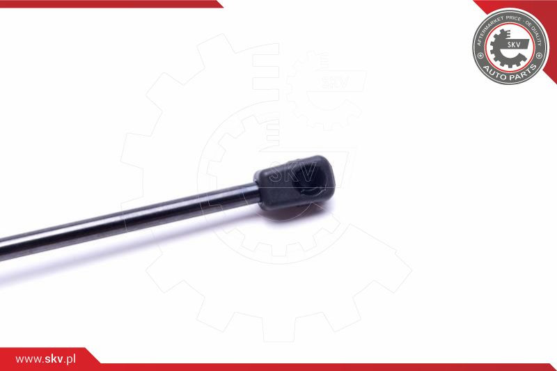 ESEN SKV Gasfeder, Heckscheibe