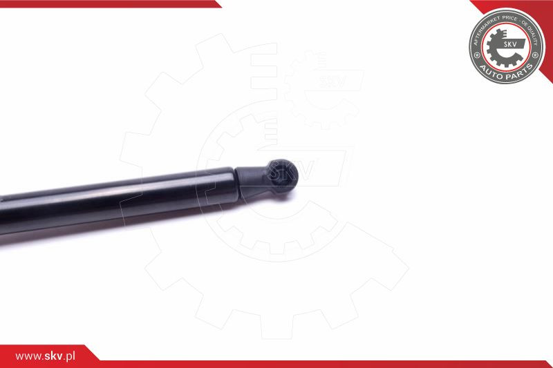 ESEN SKV Gasfeder, Heckscheibe