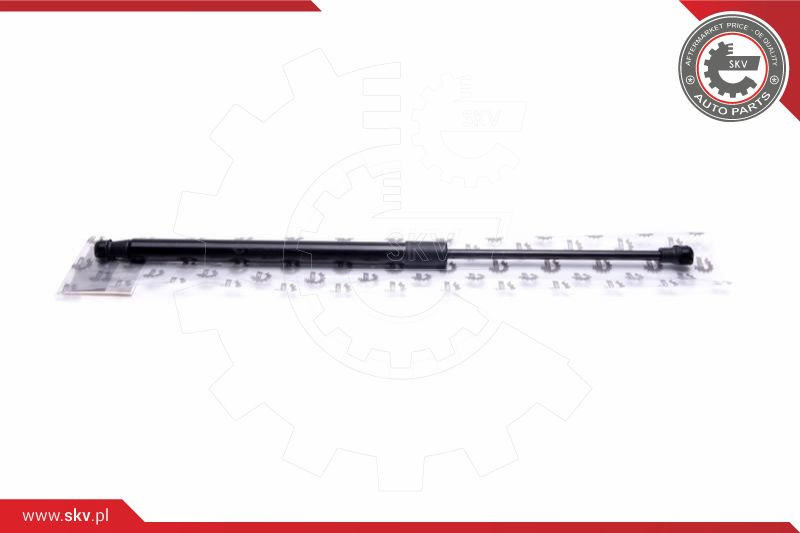 ESEN SKV Gasfeder, Heckscheibe