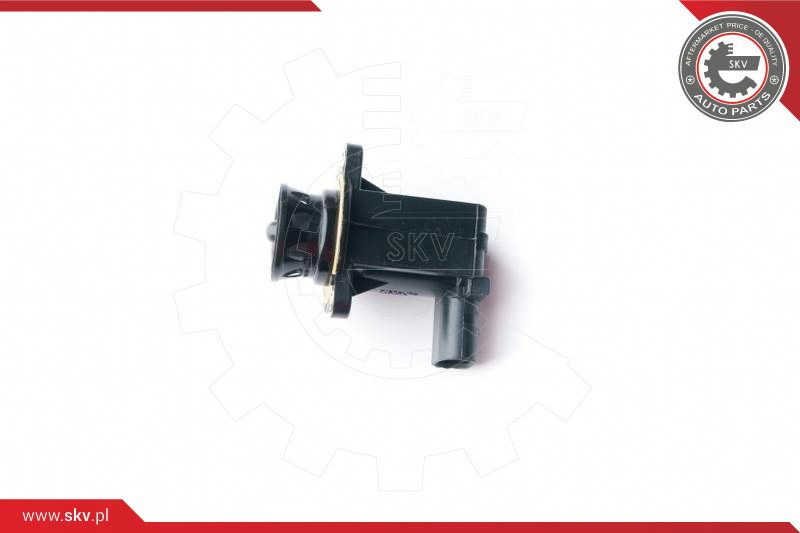 ESEN SKV Schubumluftventil, Lader