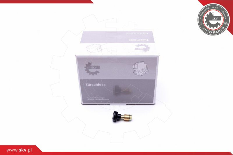 ESEN SKV Rollenführung, Schiebetür