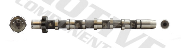 MOTIVE Nockenwelle