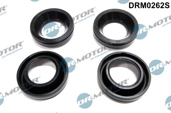 Dr.Motor Automotive Dichtungssatz, Zylinderkopfhaube