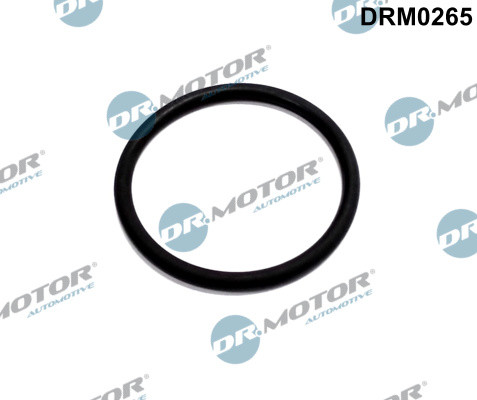 Dr.Motor Automotive Dichtungssatz, AGR-System