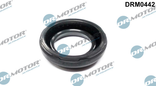 Dr.Motor Automotive Dichtung, Zylinderkopfhaube