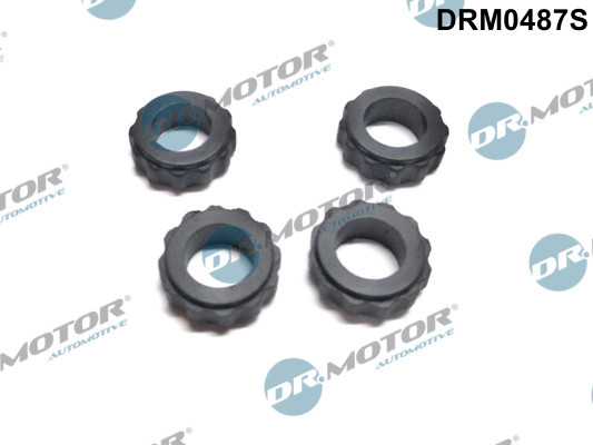 Dr.Motor Automotive Dichtring, Düsenhalter