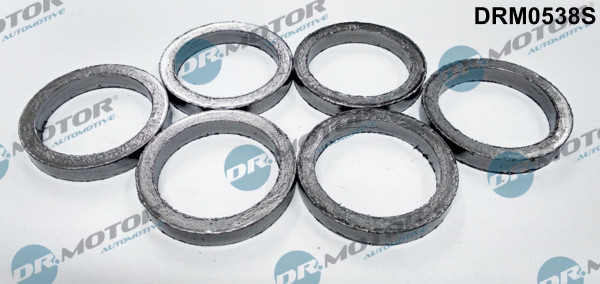 Dr.Motor Automotive Dichtungssatz, Abgaskrümmer
