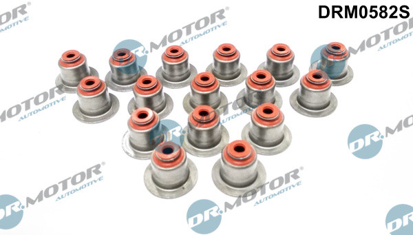 Dr.Motor Automotive Dichtungssatz, Ventilschaft