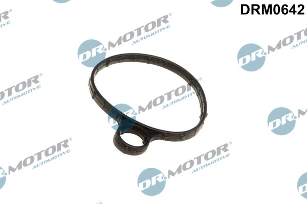 Dr.Motor Automotive Dichtung, Unterdruckpumpe