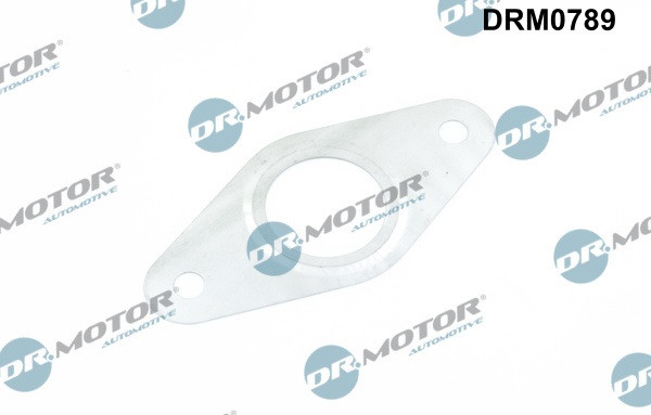 Dr.Motor Automotive Dichtungssatz, AGR-System